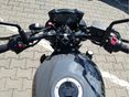 SUZUKI SV 650 N 2023/4 - 7