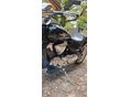 SUZUKI VZR 1800 2008/6 - 5
