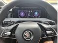 SKODA SUPERB 2025 - 19