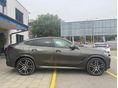 BMW X6 2021/6 - 5