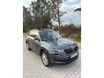 SKODA KODIAQ 2021/5 - 1