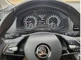 SKODA KAROQ 2021/7 - 13