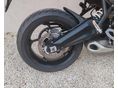 TRIUMPH TIGER SPORT 660 2022/9 - 5