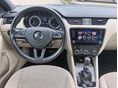 SKODA OCTAVIA 2019/11 - 9