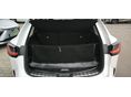 LEXUS NX 2025/8 - 5