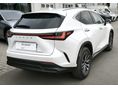 LEXUS NX 2025/8 - 4