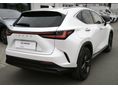 LEXUS NX 2025/8 - 4