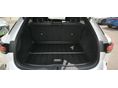 LEXUS RX 2025/8 - 5