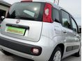 FIAT PANDA 2018 - 2