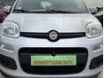 FIAT PANDA 2018 - 6