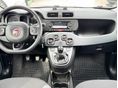 FIAT PANDA 2018 - 10