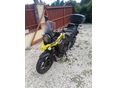 SUZUKI DL 250 
