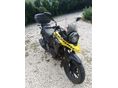 SUZUKI DL 250 2017 - 3