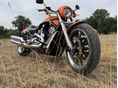 HARLEY-DAVIDSON V-ROD WIDE TIRE 