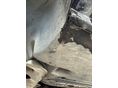 BMW 318 2001/9 - 13