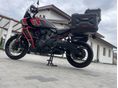 HARLEY-DAVIDSON PAN AMERICA 2024/12 - 5