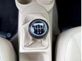 VOLKSWAGEN NEW BEETLE 2010/3 - 14