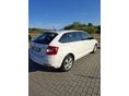 SKODA RAPID 2015/12 - 5