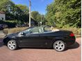 FORD FOCUS 2008 - 9