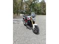 BMW R 1200 R 2015/6 - 2