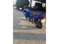 SUZUKI GSX 600 F 2003 - 5