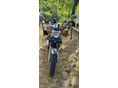 KAWASAKI Z 400 1982 - 4