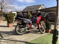 HONDA NX 650 DOMINATOR 1993/5 - 3