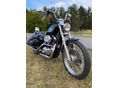 HARLEY-DAVIDSON SPORTSTER 1200 CUSTOM XL1200
