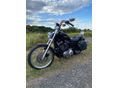 HARLEY-DAVIDSON SPORTSTER 1200 CUSTOM 1997/6 - 4