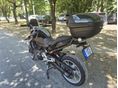 BMW F 900 R 2021/5 - 7