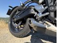 TRIUMPH TRIDENT 2025/5 - 5