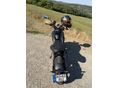 TRIUMPH TRIDENT 2025/5 - 11