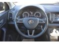 SKODA KAROQ 2019/3 - 11