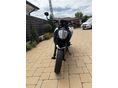 KTM 390 DUKE 2021/9 - 2