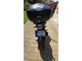 BMW F 900 R 2024/8 - 4