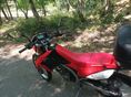 HONDA CRF 250 L 2019/2 - 11