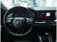 SKODA OCTAVIA 2021/6 - 16