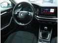 SKODA OCTAVIA 2021/6 - 19