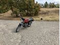 BMW R 65 1983/3 - 2