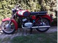 PANNONIA P21 
