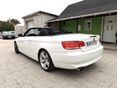 BMW 320 2009/7 - 2