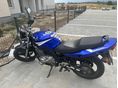 SUZUKI GS 500 E 2004/12 - 2