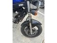 SUZUKI GS 500 E 2004/12 - 5