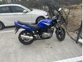 SUZUKI GS 500 E 2004/12 - 3