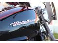 HARLEY-DAVIDSON SPORTSTER 1200 CUSTOM 2006/3 - 2