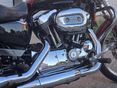 HARLEY-DAVIDSON SPORTSTER 1200 CUSTOM 2006/3 - 5