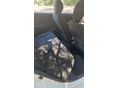KIA PICANTO 2019/11 - 5