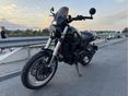 BENELLI LEONCINO 500 TRIAL Trail