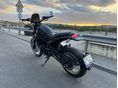 BENELLI LEONCINO 500 TRIAL 2022/4 - 4