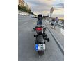 BENELLI LEONCINO 500 TRIAL 2022/4 - 5